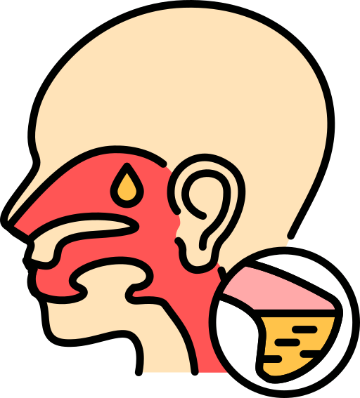 ENT (Otolaryngology)